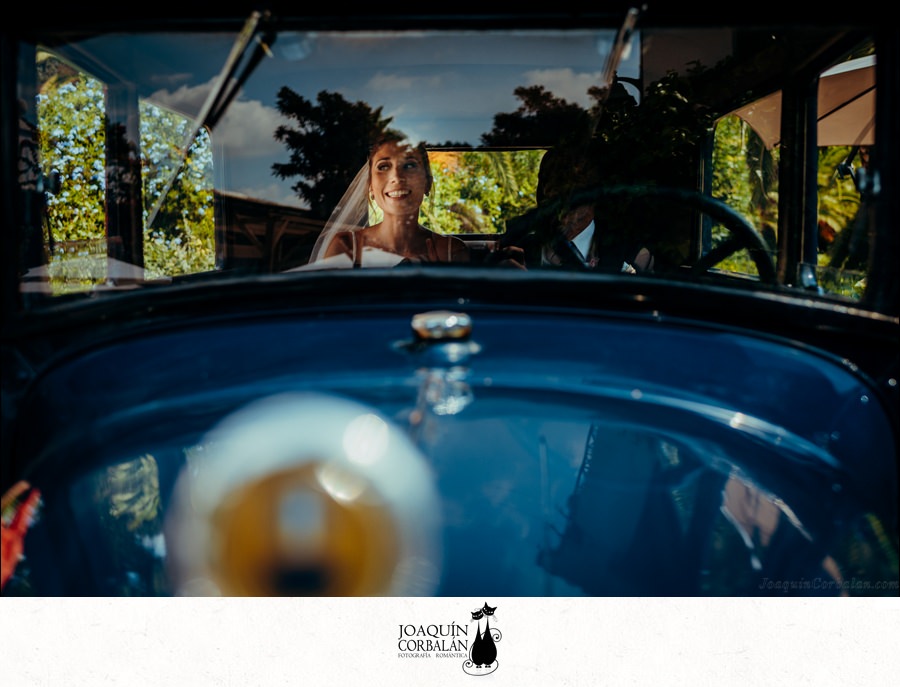Boda Color 561